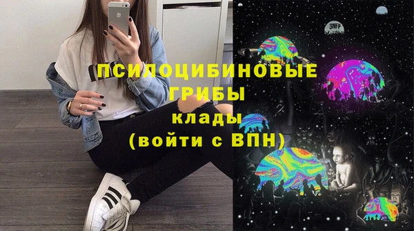 не бодяженный Кукмор